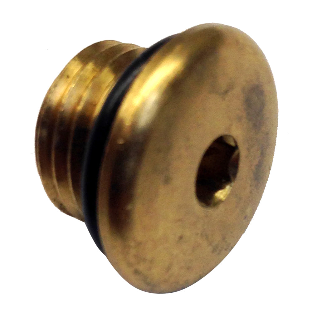 Uflex Brass Plug wORing for Pumps 71928P