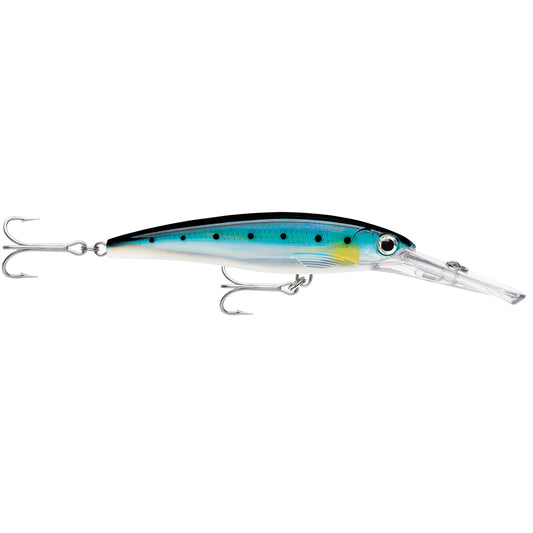 Rapala XRap Magnum 20 Sardine XRMAG20BSRD